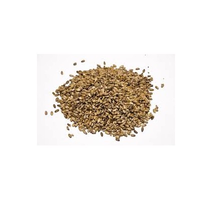 PEGASTI BADELJ SEMENA 100 G, ERBALEX PEGASTI BADELJ SEMENA 100 G, ERBALEX