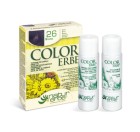 COLOR ERBE® 25 modro črna barva za lase