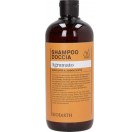 Family 2v1 šampon in gel za tuširanje brez vonja 500 ml